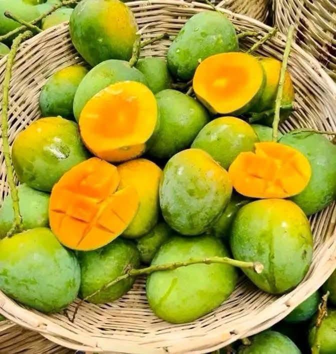 Himsagor Fresh Mango
