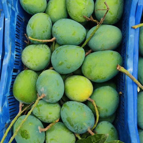 Himsagor Fresh Mango