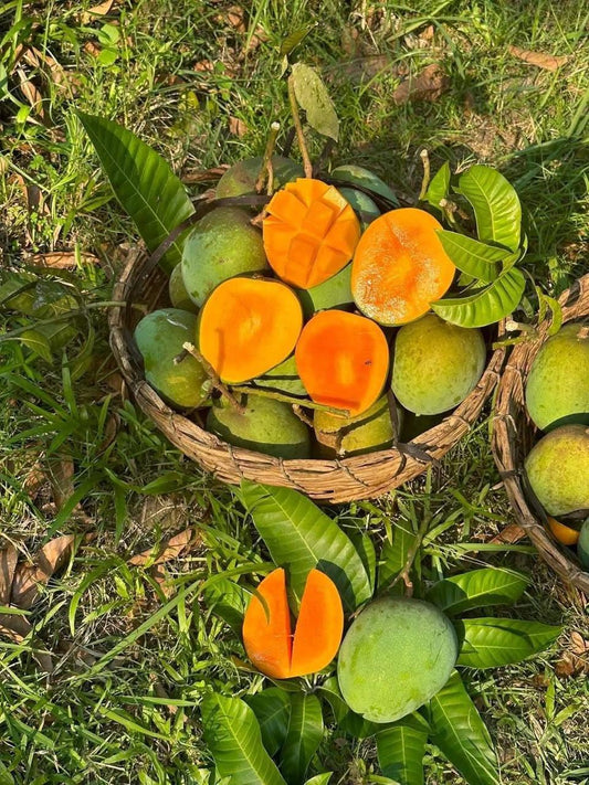 Himsagor Fresh Mango