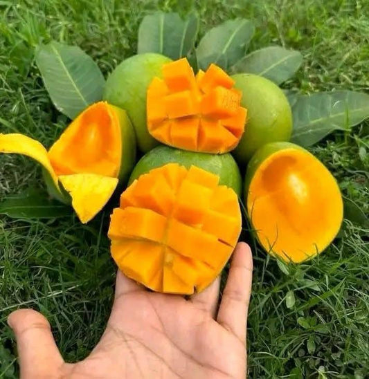 Himsagor Fresh Mango
