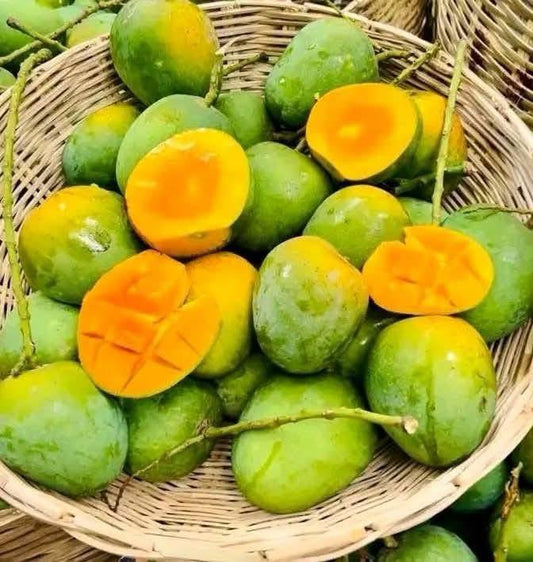 Himsagor Fresh Mango